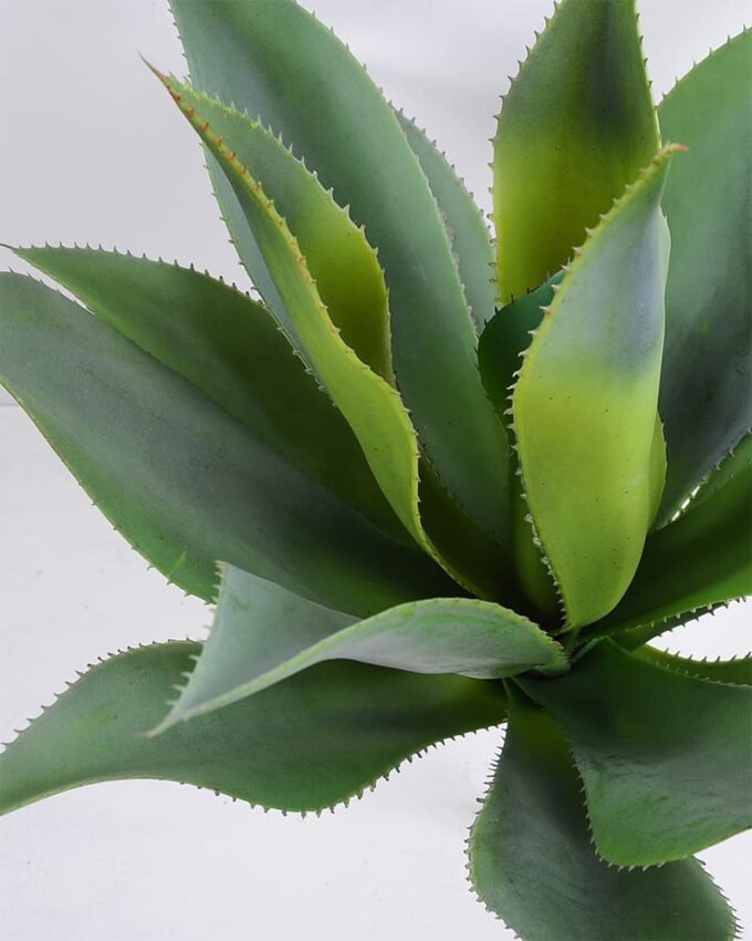 Artificial Tree 56*54*56cm Potted Tree/lvs16 GS-43419027