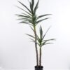 Artificial Tree 66*62*136cm Potted Tree In Plastic Pot*2/lvs148 GS-43419020