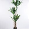 Artificial Tree 60*62*150cm Potted Tree In Plastic Pot*3/lvs39 GS-43419023