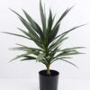 Artificial Tree 67*62*78cm Potted Tree In Plastic Pot/lvs39 GS-43419022