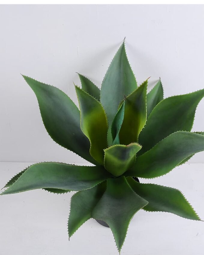 Artificial Tree 56*54*58cm Potted Tree In Plastic Pot/lvs16 GS-43419028