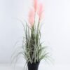 Artificial Tree 50*57*90CM Reeds in pot GS-45719027