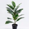 Artificial Tree 40*36*60CM Rubber wood tree in plastic pot/lvs15 GS-26620004 1 Artificial Tree 40*36*60CM Rubber wood tree in plastic pot/lvs15 GS-26620004