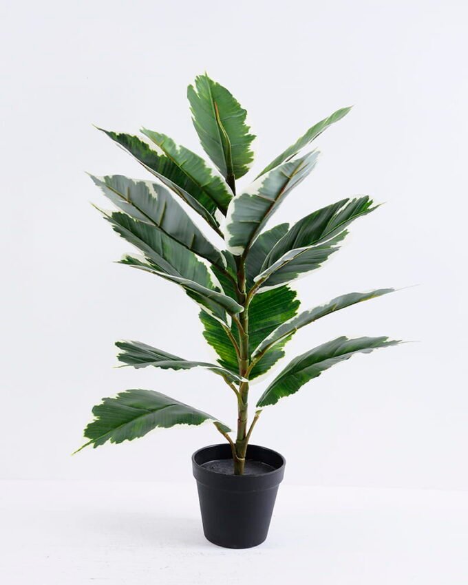 Artificial Tree 40*36*60CM Rubber wood tree in plastic pot/lvs15 GS-26620004 1 Artificial Tree 40*36*60CM Rubber wood tree in plastic pot/lvs15 GS-26620004