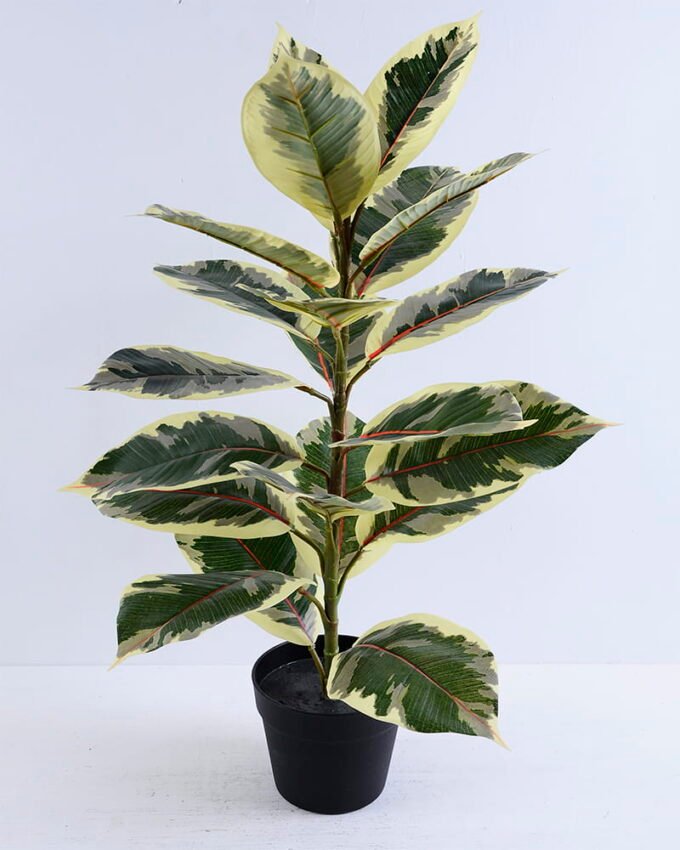 Artificial Tree 45*33*75CM Rubber wood tree in plastic pot/lvs21 GS-26620005