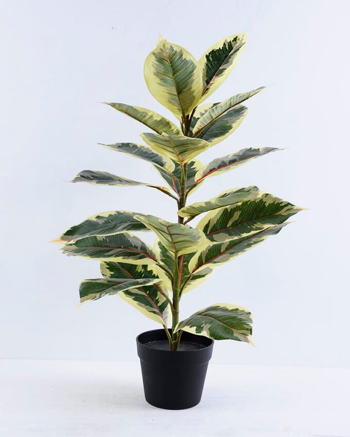 Artificial Tree 45*33*75CM Rubber wood tree in plastic pot/lvs21 GS-26620005