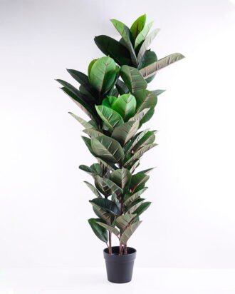 Artificial Tree 67*60*154CM Rubber wood tree in plastic pot/lvs81 GS-35319023