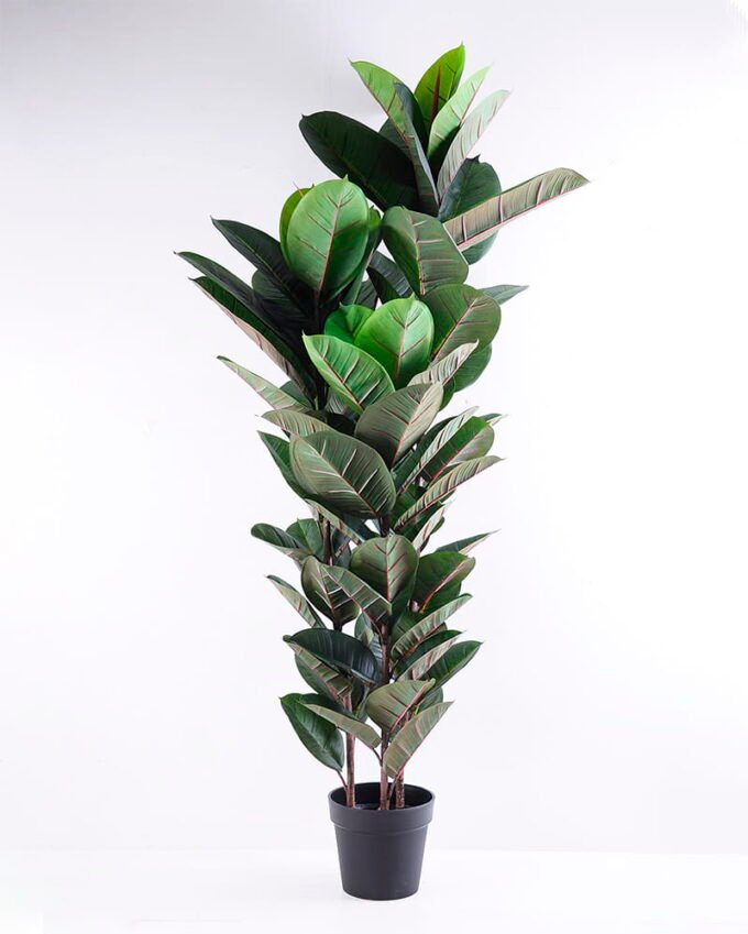 Artificial Tree 67*60*154CM Rubber wood tree in plastic pot/lvs81 GS-35319023 1 Artificial Tree 67*60*154CM Rubber wood tree in plastic pot/lvs81 GS-35319023