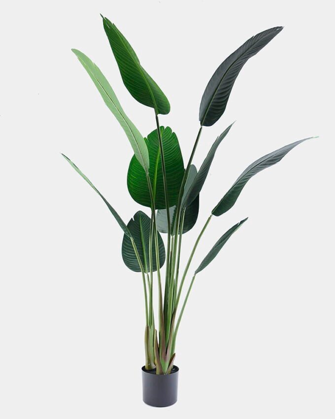 Artificial Tree 89*49*164CM Strelitziaceae Tree/10LVS GS-48520003 1 Artificial Tree 89*49*164CM Strelitziaceae Tree/10LVS GS-48520003