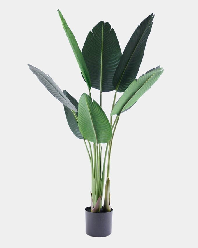 Artificial Tree 63*49*117CM Strelitziaceae Tree/8LVS GS-48520002