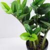 Artificial Tree 32*34*48CM Zamioculcas tree in the plastic pot/lvs72 GS-30419069