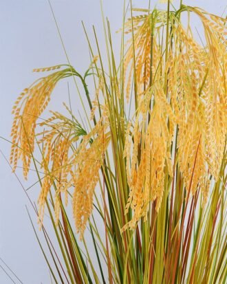 Artificial Tree rice in?plastic pot GS-31319019