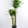 Artificial Tree 69*50*123cm tree in the plastic pot/lvs64 GS-30419074