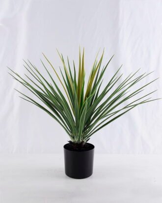 Artificial Tree 60*54*51CM yucca tree in plastic pot/lvs48 GS-48519092 Tree&Plant YeahFlower is one of Chinese leading OEM manufacturers and exporters , supplying the silk flowers, wholesale artificial trees Artificial Tree 60*54*51CM yucca tree in plastic pot/lvs48 GS-48519092