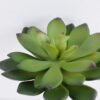Artificial succulent 13cm Signle desert plant GS-3410011-G1 2 Artificial succulent 13cm Signle desert plant GS-3410011-G1