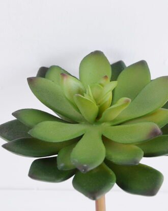 Artificial succulent 13cm Signle desert plant GS-3410011-G1
