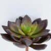 Artificial succulent 13cm Signle desert plant GS-3410011-R1