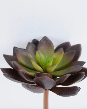 Artificial succulent 13cm Signle desert plant GS-3410011-R1 Succulent YeahFlower is one of Chinese leading OEM manufacturers and exporters , supplying the silk flowers, wholesale artificial trees Artificial succulent 13cm Signle desert plant GS-3410011-R1