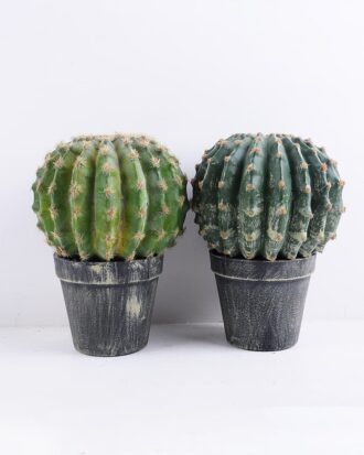 Artificial succulent 17.5*17.5*23CM Cactus in plastic pot GS-51419011 Succulent YeahFlower is one of Chinese leading OEM manufacturers and exporters , supplying the silk flowers, wholesale artificial trees Artificial succulent 17.5*17.5*23CM Cactus in plastic pot GS-51419011