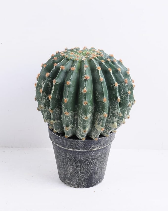 Artificial succulent 17.5*17.5*23CM Cactus in plastic pot GS-51419011