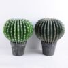 Artificial succulent 36*36*43CM Cactus in plastic pot GS-51419013