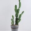 Artificial succulent 22*18*60CM Cactus in plastic pot GS-51419015
