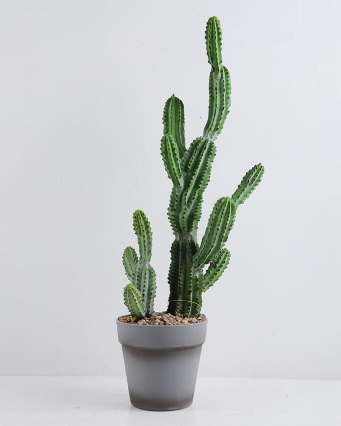 Artificial succulent 22*18*60CM Cactus in plastic pot GS-51419015
