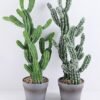 Artificial succulent 29*23*64CM Cactus in plastic pot GS-51419016