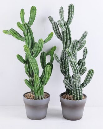 Artificial succulent 29*23*64CM Cactus in plastic pot GS-51419016 Succulent YeahFlower is one of Chinese leading OEM manufacturers and exporters , supplying the silk flowers, wholesale artificial trees Artificial succulent 29*23*64CM Cactus in plastic pot GS-51419016