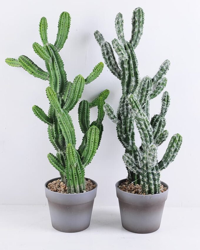 Artificial succulent 29*23*64CM Cactus in plastic pot GS-51419016