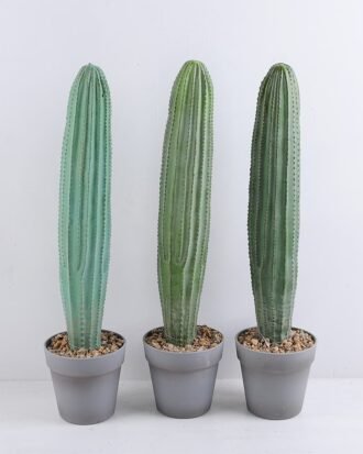 Artificial succulent 14*14*60CM Cactus in plastic pot GS-51419018