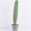 Artificial succulent 14*14*60CM Cactus in plastic pot GS-51419018