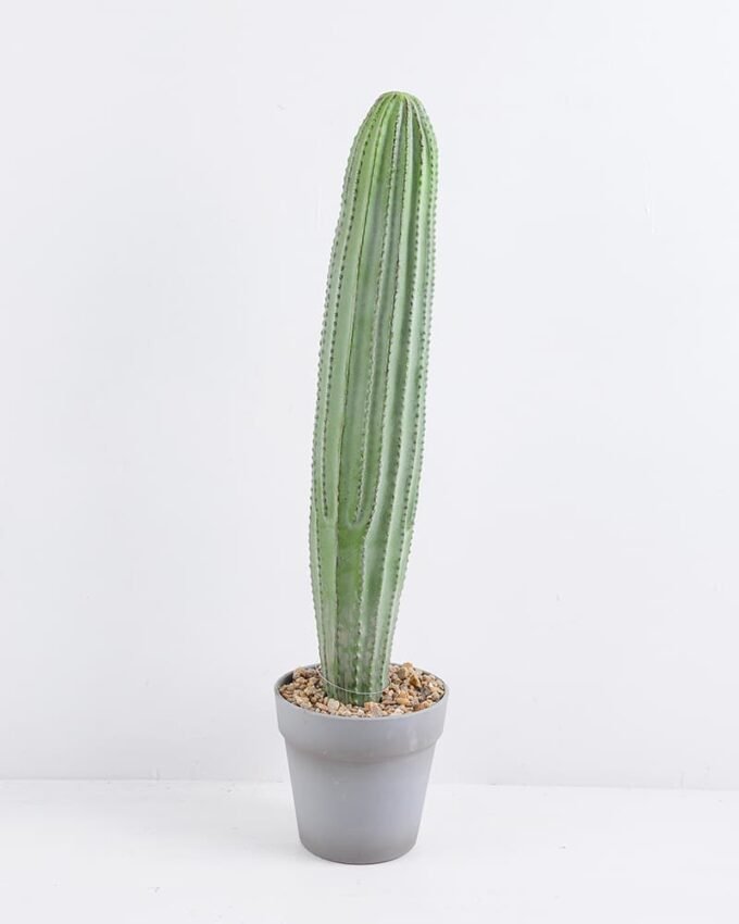Artificial succulent 14*14*60CM Cactus in plastic pot GS-51419018