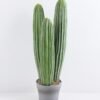 Artificial succulent 19*18*63CM Cactus in plastic pot GS-51419019