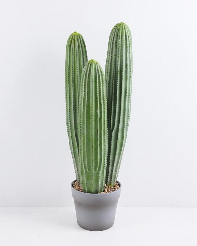 Artificial succulent 19*18*63CM Cactus in plastic pot GS-51419019