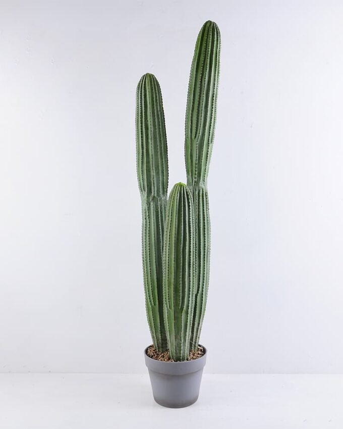 Artificial succulent 20*22*105CM Cactus in plastic pot GS-51419021