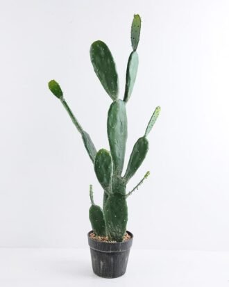 Artificial succulent 39*25*88CM Cactus in plastic pot GS-51419023