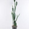 Artificial succulent 33*18*105CM Cactus in plastic pot GS-51419024
