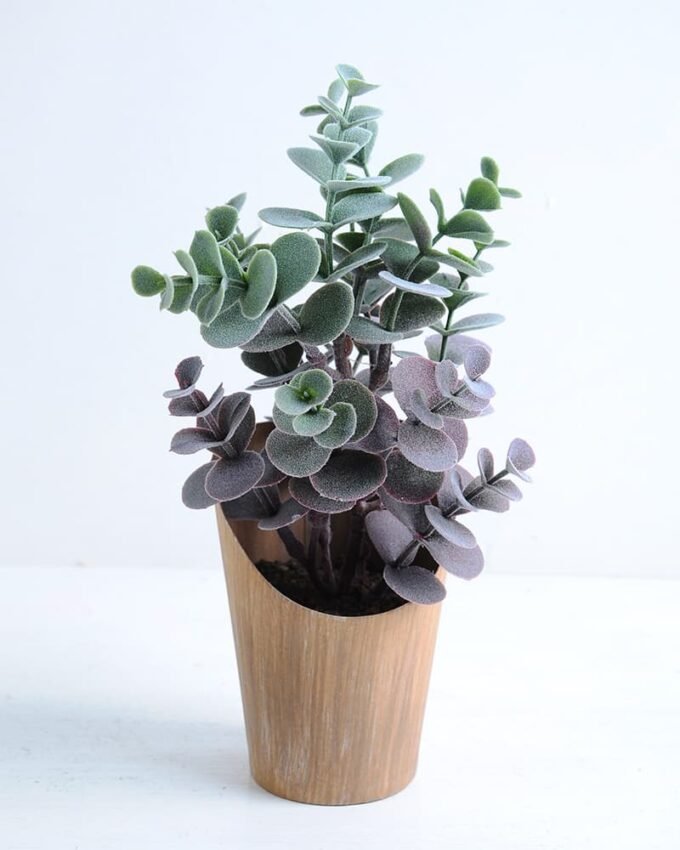 Artificial succulent 13*14*24cm Eucalyptus in paper pot GS-30319115 1 Artificial succulent 13*14*24cm Eucalyptus in paper pot GS-30319115