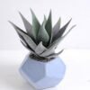 Artificial succulent 16*15*19cm Succulent in foam pot GS-30319140