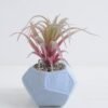 Artificial succulent 18.5*15*17cm Succulent in foam pot GS-30319141
