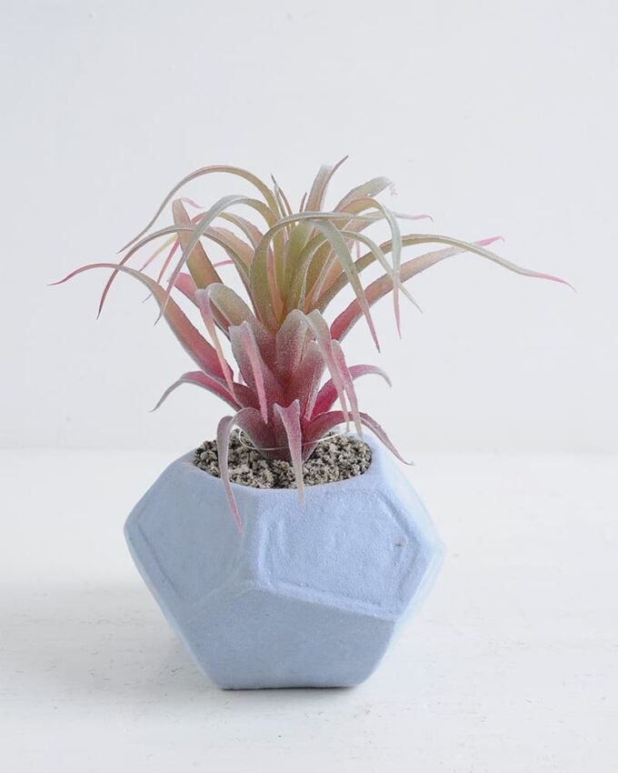Artificial succulent 18.5*15*17cm Succulent in foam pot GS-30319141