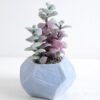 Artificial succulent 12*12*19cm Succulent in foam pot GS-30319142