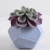Artificial succulent 12*12*12cm Succulent in foam pot GS-30319143