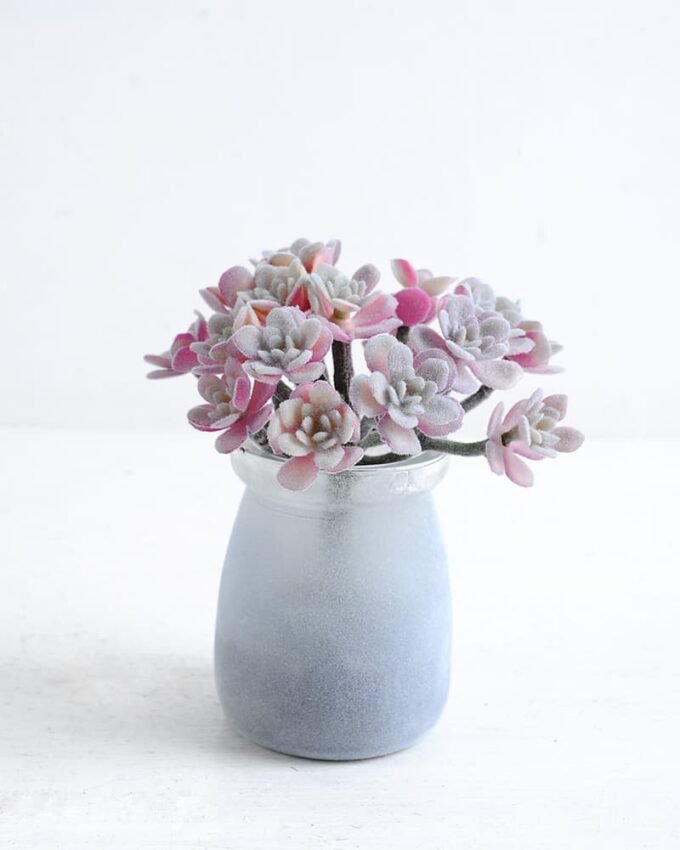 Artificial succulent 9*10*11cm Succulent in glass pot GS-30319117