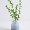 Artificial succulent 10*9*21cm Succulent in glass pot GS-30319118