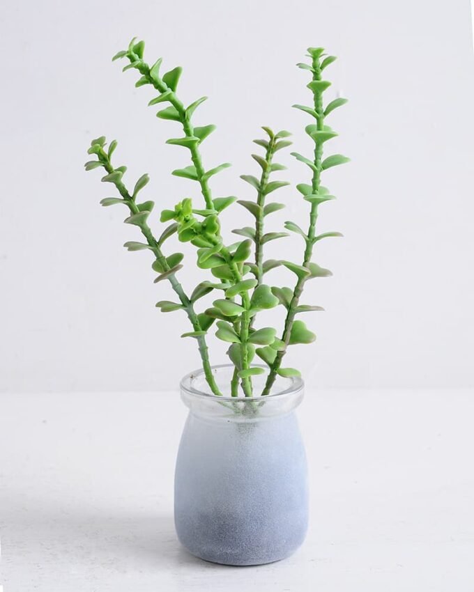 Artificial succulent 10*9*21cm Succulent in glass pot GS-30319118