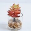 Artificial succulent 5*5*8.5cm Succulent in glass pot GS-30319146