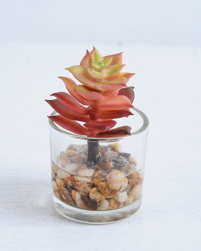 Artificial succulent 5*5*8.5cm Succulent in glass pot GS-30319146
