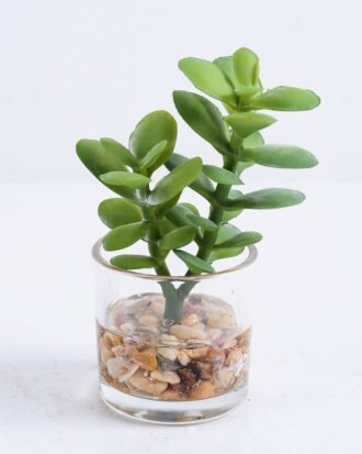 Artificial succulent 7*5*11cm Succulent in glass pot GS-30319147